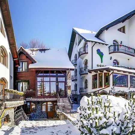 Pensiunea Crocus - Sauna & Billiard Poiana Brašov Exteriér fotografie