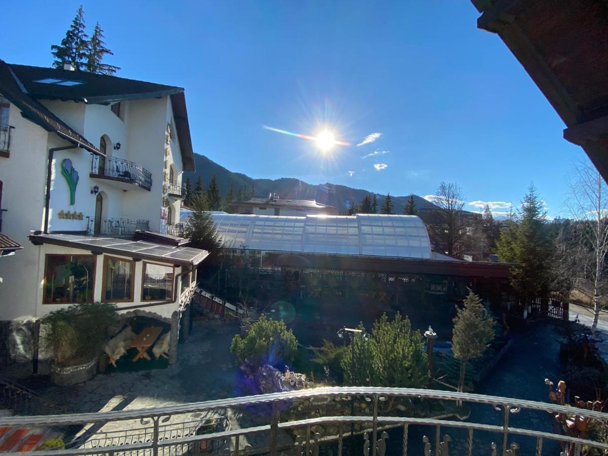 Pensiunea Crocus - Sauna & Billiard Poiana Brašov Exteriér fotografie