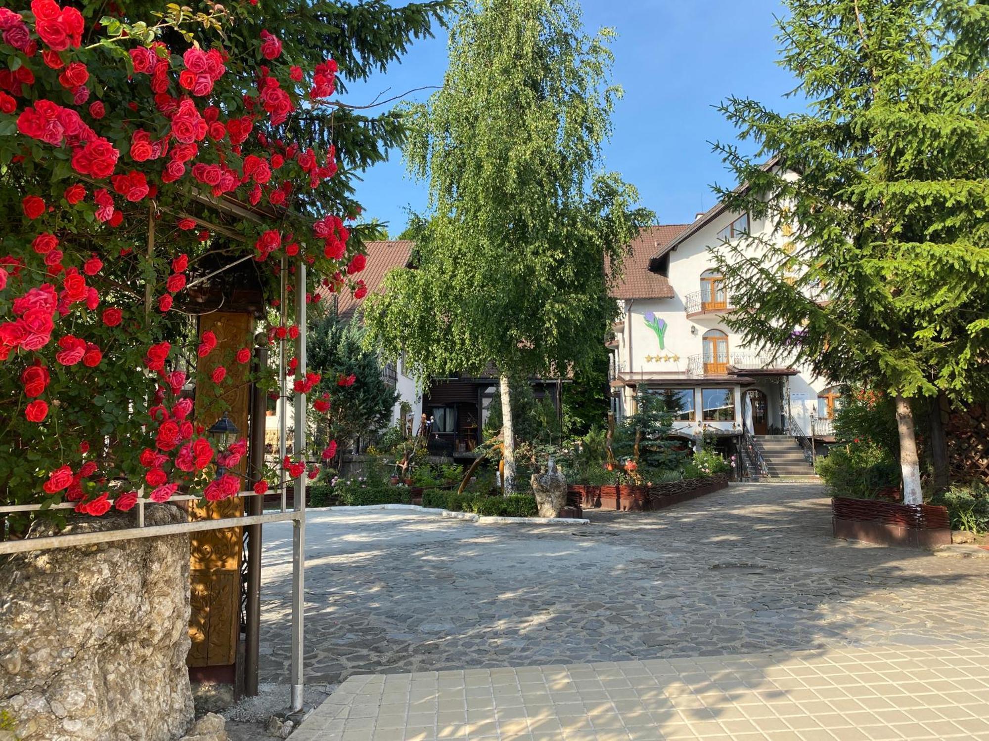 Pensiunea Crocus - Sauna & Billiard Poiana Brašov Exteriér fotografie