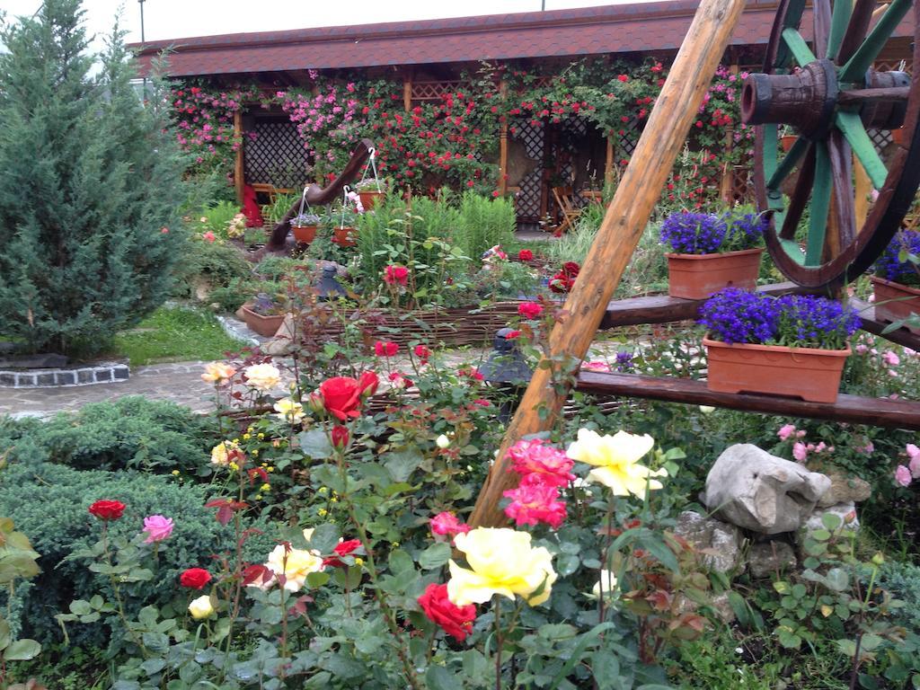 Pensiunea Crocus - Sauna & Billiard Poiana Brašov Exteriér fotografie